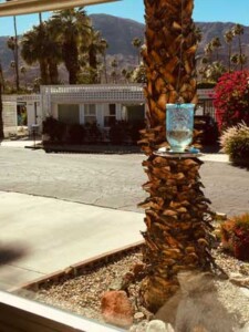 Jane's clean windows